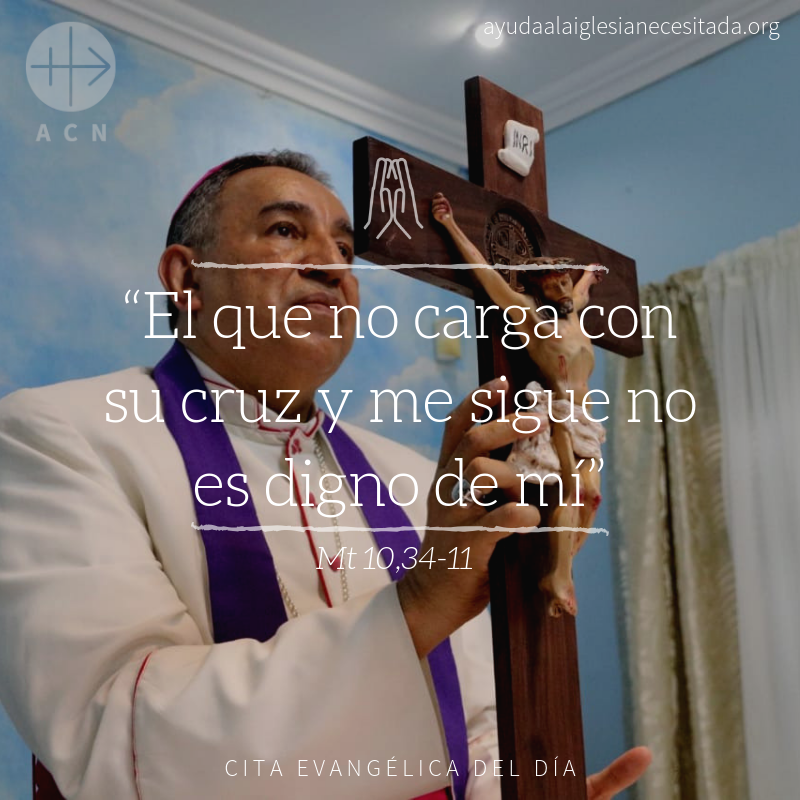#Àngelus: Ja no puc no estimar la creu; la creu em salva, la malaltia em salva, el patiment em salva. Gràcies Senyor, per fer tan útil el patiment.
