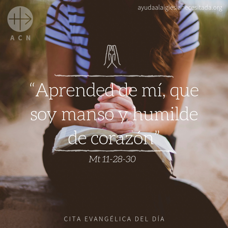 #Àngelus: A la humilitat, a la mansuetud tindrem el nostre descans; què fàcil és dir-ho però què difícil es fer-ho, amb la teva gràcia i el nostre esforç ho aconseguirem. Gràcies, Senyor.