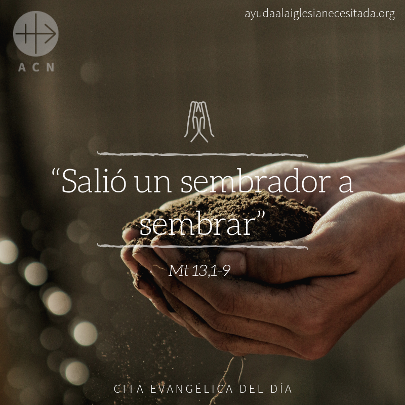 #Àngelus: “No és culpa del sembrador, tampoc de la llavor, la culpa estava a l’home i en cóm la rebia”. Ens dones sempre el millor