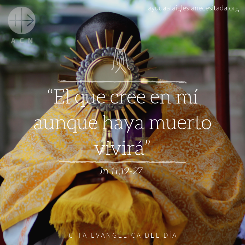 #Àngelus: Gràcies Senyor, perquè ens has donat la vida i ens la has donar per sempre, per sempre.