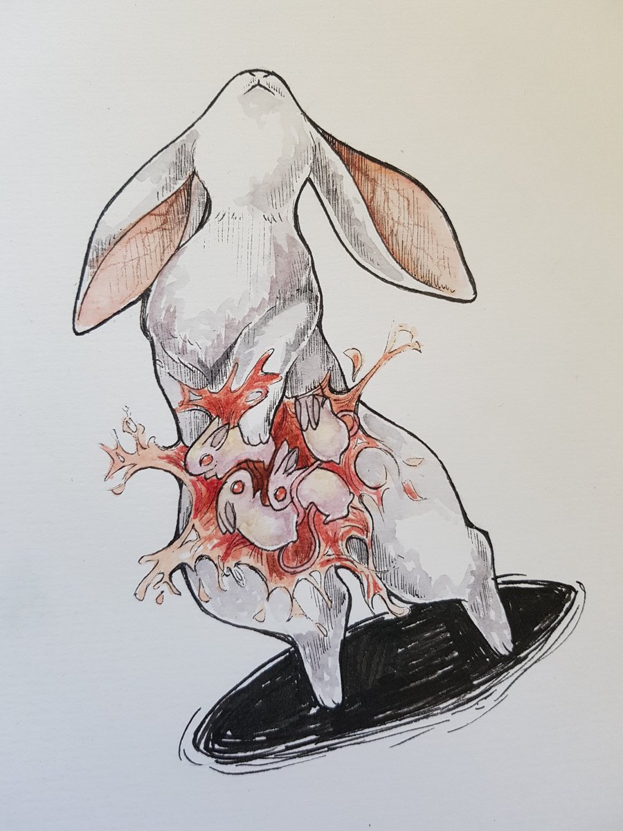 calysclay's tweet photo. Little drawings 🐇 https://t.co/0tVkSv9rik