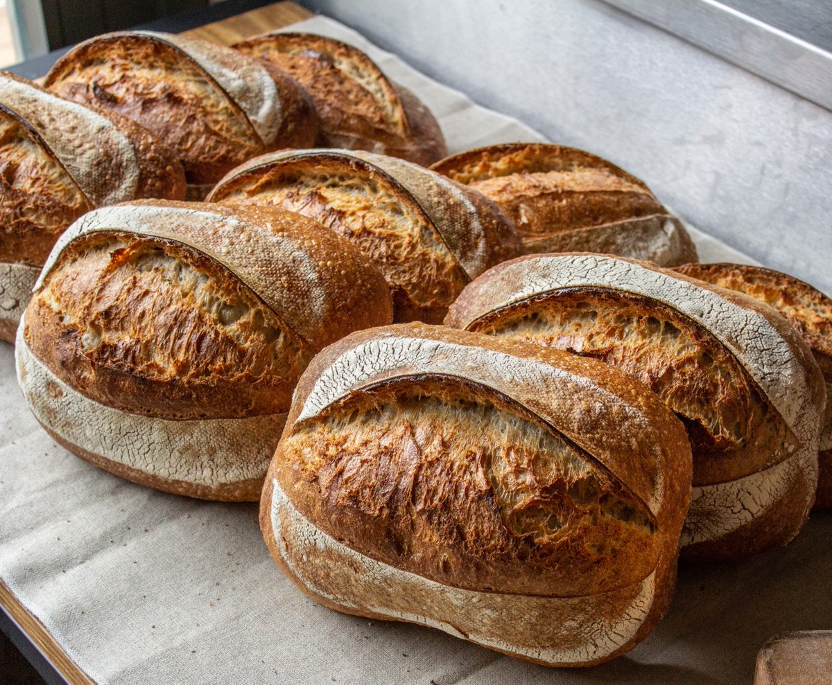 Rye by the Water (@ryebythewater) / Posts / X
