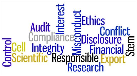 Discover a full spectrum of market research services, performed with the highest level of integrity, with Secret Shopper.