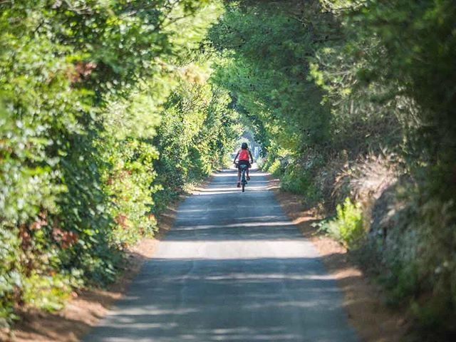 MikeHowarth's tweet image. “Today we are faced with a challenge that calls for a shift in our thinking so that humanity stops threatening its life-support system. We are called to assist the Earth to heal her wounds and in the process heal our own - indeed to embrace the whole of … ift.tt/2J73k9a