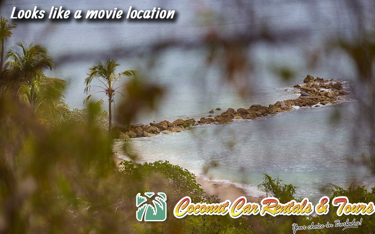 Sometimes those wrong turns really pay off.  #explorebarbados #happywrongturn #goodmistake #beach #coconuttree #movie #onlocation #trees #ocean #sea #beach #secluded