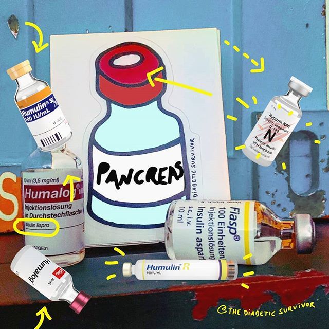 thediabeticsurv's tweet image. Thanks Stefanie (@diabetes_endurance_sport) for the PANCREAS sticker pic 😁💙🤘
#diabuddies#diabetescommunity#diabetesawareness#allmydiabetesstuff #livingwithdiabetes#diabetes #t1d #mysugr #everythingisok#deadpancreasgang #deadpancreas #diabetesstickers… ift.tt/2XelGiy