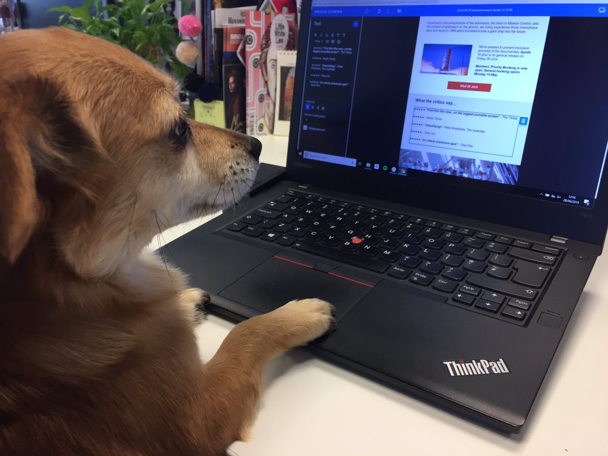 Ruff day at the office