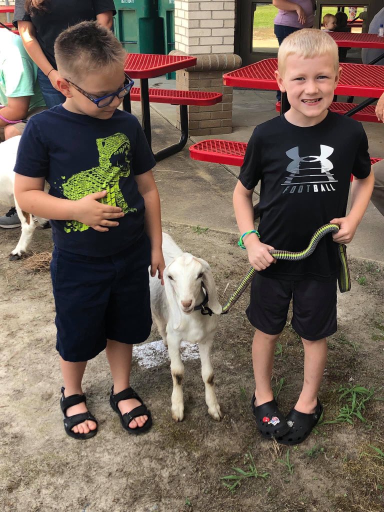 tara_gainey's tweet photo. Brought a couple special visitors to share with the students at Micro’s Summer Library Program yesterday!Students listened to a read aloud of Beatrice’s Goat, learned facts about Uganda and goats, and had the opportunity to interact with two of my friends! #MicroPride #MicroReads https://t.co/w95baH5Eni