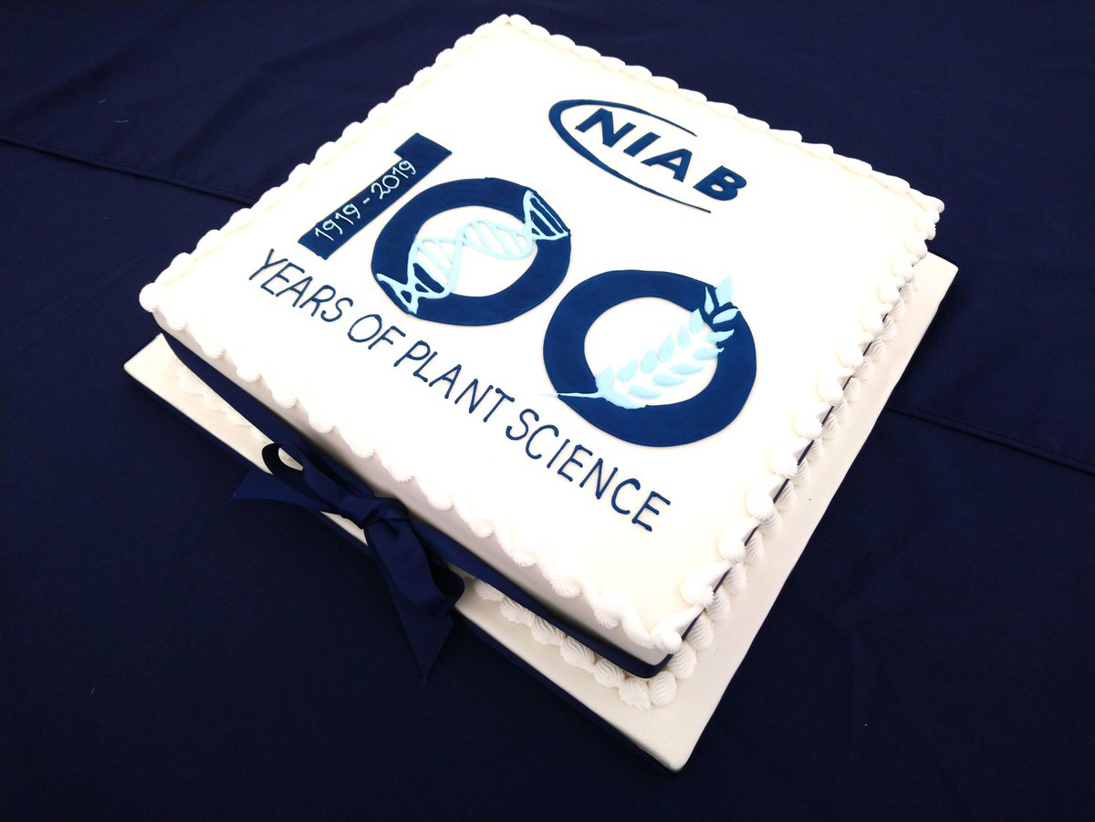 Benjamin J Tea tweet media