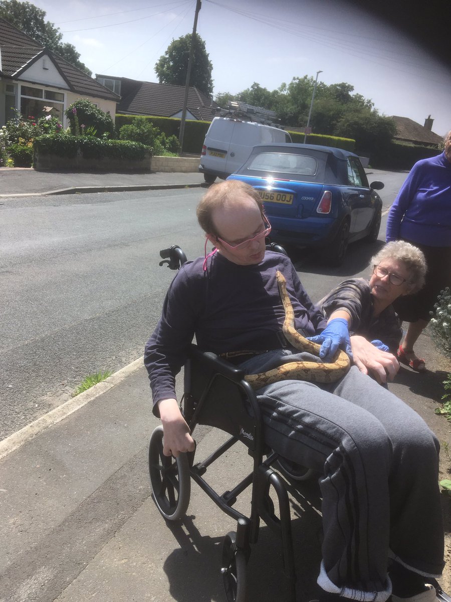 jaq421's tweet photo. So first time outside in ages we walked and wheeled round the block . @Spikeontour got spoiled at Jan’s house we saw Jane & Lola I had a lovely card from Meg Privett and then this happened ! #reptiletherapy for #HuntingtonsDisease #sybilontour https://t.co/ya8UnAcqs2