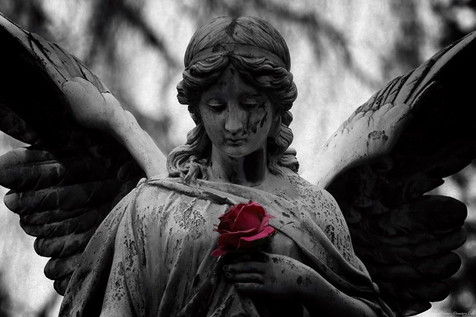 JulietteRevenge's tweet photo. @canahlla Muy bonito. https://t.co/iny73i1lWX