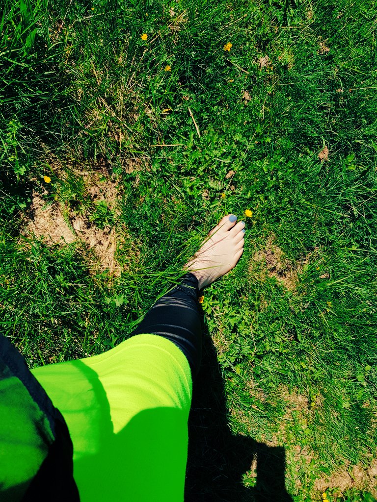 caissarl's tweet image. alpine montainview [¿] 
historical tollhouse/s vs obergurgl-hotelblocks. 
drones + cable cars. 
yet: feeling a meadow... 'grenzen und übergänge'.
#OECSK2019 #nature #menmade #technology #SavetheWorld