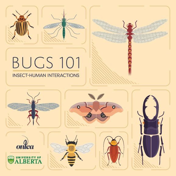 AnnaRissanen1's tweet photo. @ualbertaScience latest #MOOC released! Learn about Bugs with @MayaEvenden here https://t.co/CMtT9AXK53 https://t.co/SqJtdiYpWY