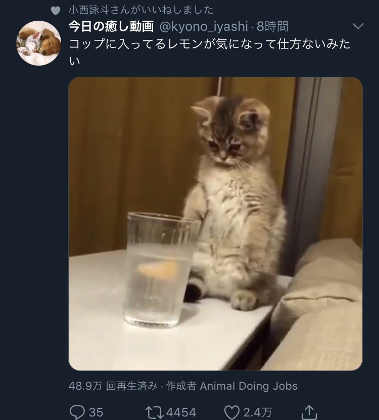 eighteesk's tweet photo. えっくん (小西詠斗) は
こんなに可愛い動画にいいねしちゃうくらい
脳みそかわいいんだよ(語彙力) https://t.co/R56S6oRjGj