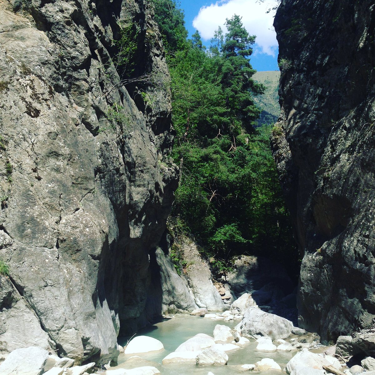 Pour éviter la chaleur 🥵 Prenez de la hauteur 🌲⛰ #ceteterespirez #nature #montagne #alpes #outdoor #auroncestmastation #explorenicecotedazur #semettreauvert #riviere @NCATourisme @visitcotedazur @lesstationsnca