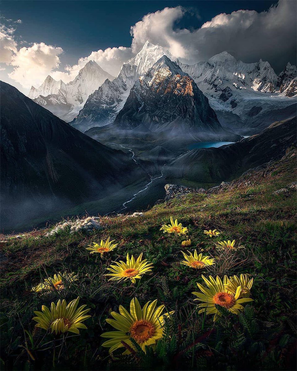 Earth Pics Daily tweet media