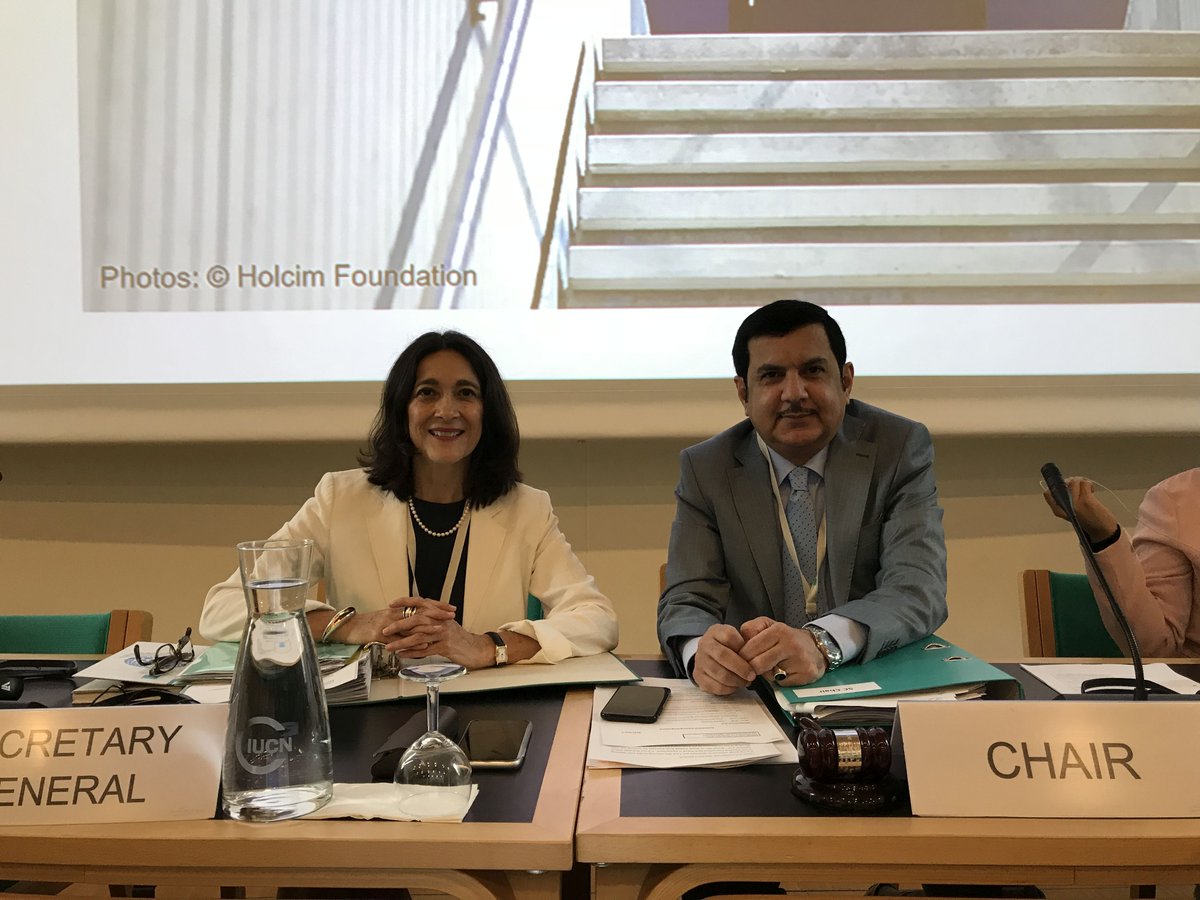 martharojasu1's tweet photo. The continued commitment of the @RamsarConv Parties so that there is a future for #wetlands was once again visible by the decisions reached at #StandingCommittee57. I thank our Chair @mohdafkham for ably leading us. We continue onwards with our work for #wetlands. https://t.co/BStIBn5TUW