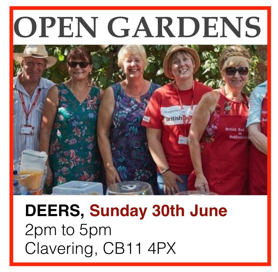 JaniceGilroy20's tweet photo. Wow DEERS is looking glorious today! We hope to see you on Sunday😍
#loveredcross #loveessex https://t.co/0LUc6j6c8o