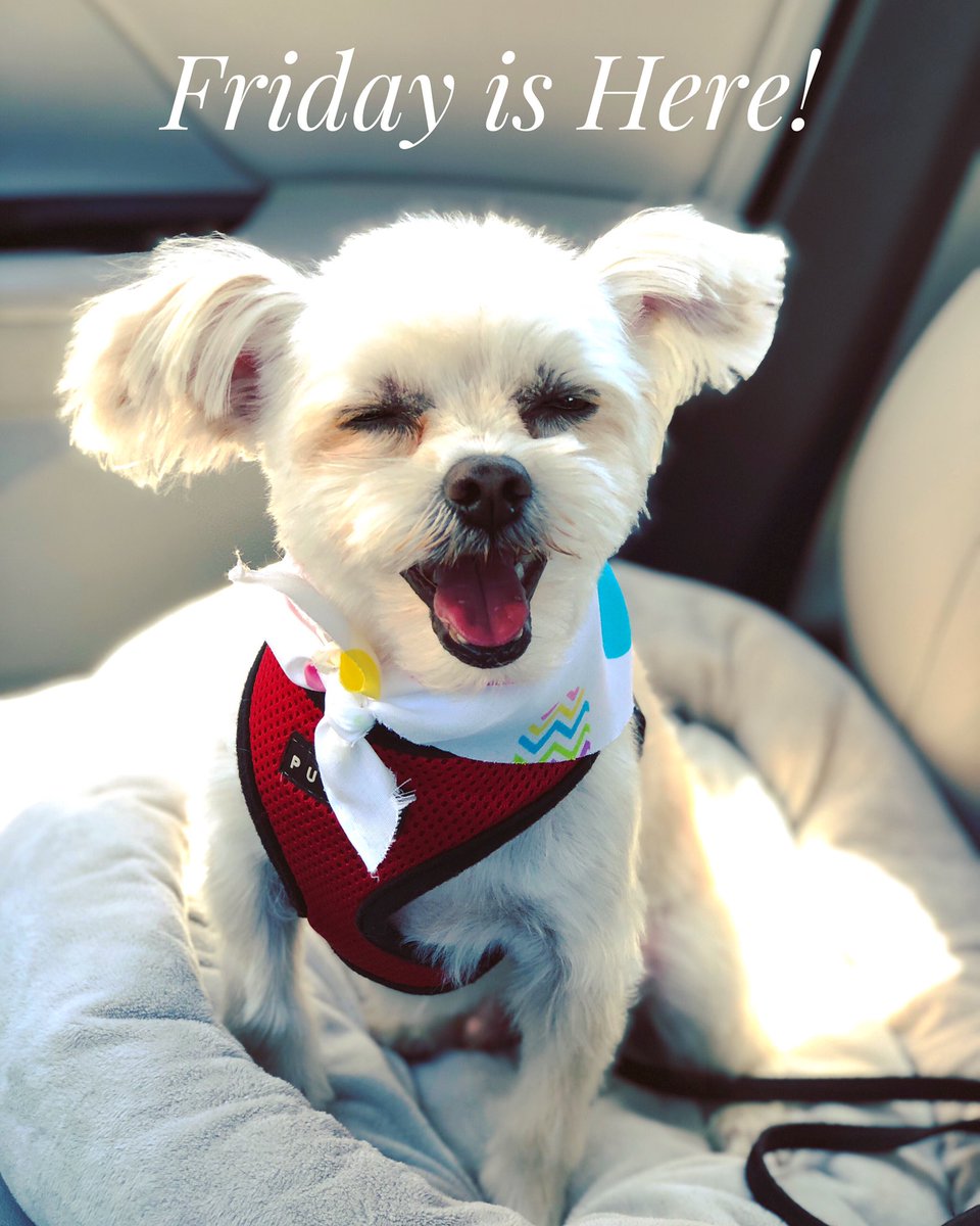 rv_fun's tweet photo. What’s your weekend plans??? #itsfriday #TGIF https://t.co/dfZyBqnI0c