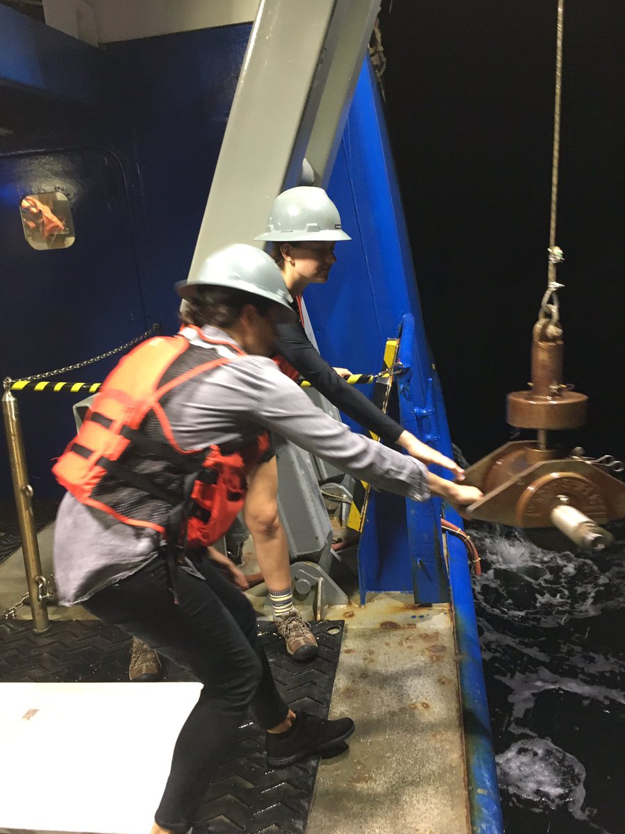 BEAMS_Doc's tweet photo. Just wrapped up our final survey! Great data collected and processed by the BEAMS students! Great cruise! @CofCSSM @cofcgeology https://t.co/AuLqwAaymx