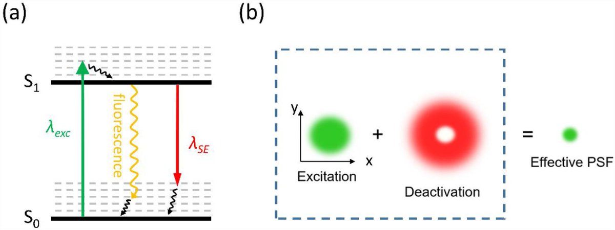 OpticaPubsGroup's tweet photo. An Invited Review from the Laser Writing Feature Issue of #OSA_OMEx: Ten years of two-color photolithography https://t.co/hr5aDvixWC #Photolithography #LaserWriting @UofMaryland https://t.co/mZQkjh2CuY