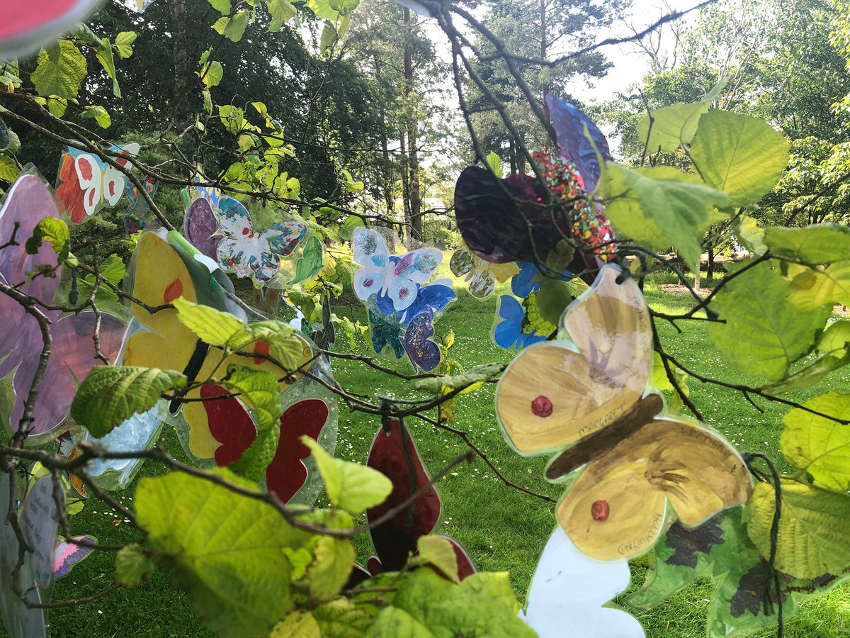 creativemojo's tweet photo. Wonderful day at @knightshayesNT for the #TreeofCelebration.
#artforall #comeandjoinin #artincare #dementiafriendly @CareEngland @CareHomeOpenDay #creativemojo https://t.co/TsEQxcmuBu