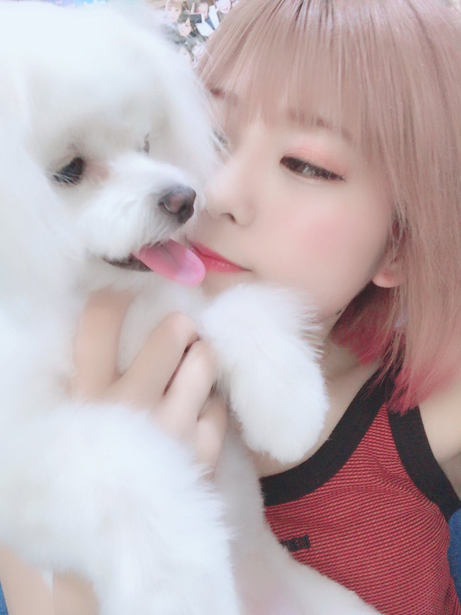 konan6109's tweet image. 久しぶりにリプ返する〜

すたと🐶