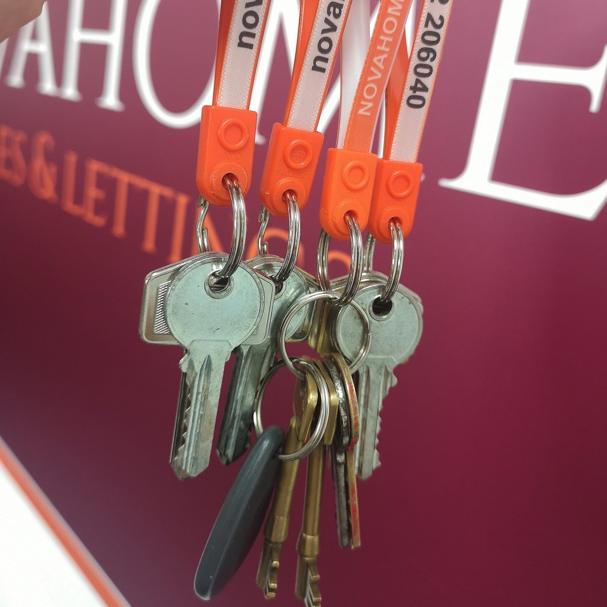 A busy day here at #NovahomesLettings prepping for a busy weekend of move ins. Are you a #Landlord with an available rental property? Call us on 01752206040 to discuss our amazing deals!