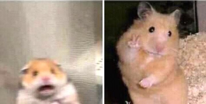 Téléchargement gratuit Images actualisé par