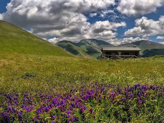 #loves_united_marche
#volgomarche #ig_marche #total_landscapes #bestmarchepics #marcheforyou #visititalia #viaggionellemarche
 #yallersmarche  #travelgramitalia # #loves_marche  #yallersworld #igersmarche  #loves_marche #sibillininationalpark #destinazio… ift.tt/2XbvMQY