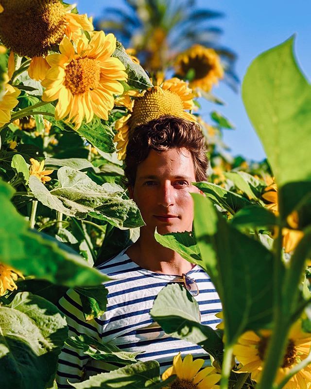 MonBretonLondon's tweet photo. Flower Power 🌻🌻🌞🌻🌻 #peekaboo #sunflower #notposed #stripes #ibiza #atzaroibiza https://t.co/5dE0IRkIEg https://t.co/gSW4BAaPt3