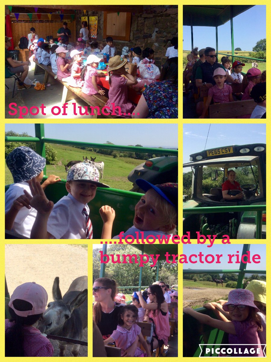 TyntesfieldZS's tweet photo. Farmtastic fun! Thanks to all who came along to help today https://t.co/HPNOq6cBxY