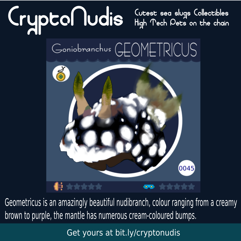 Geometricus is an amazingly beautiful nudibranch, colour ranging from a creamy brown to purple, the mantle has numerous cream-coloured bumps. 

check it out at :
opensea.io/assets/0x48718…