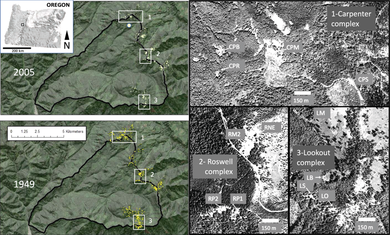 TMTSpringer's tweet photo. Discover #landscape patterns and diversity of meadow plants and flower-visitors in a mountain landscape in Landscape #Ecology https://t.co/EOBwWqBj5f #SpringerNature #SNLAND #meadowrestoration #mountainlandscape #pollination #montanemeadow #landscapediversity #landscapepatterns https://t.co/hF35rEhEv4