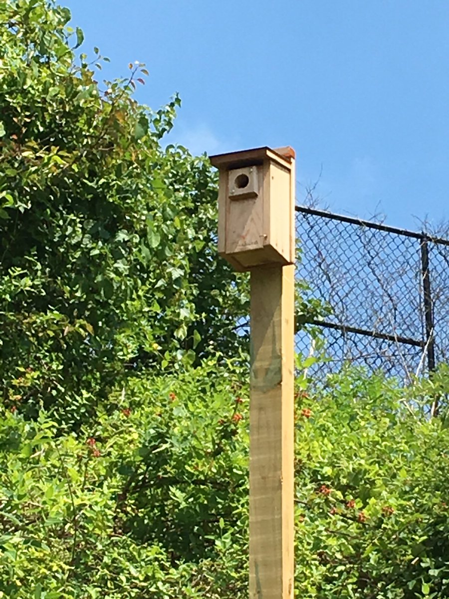 The birdhouses at Beech Tree have been up one week &amp; someone has already moved in. <a href="/fcpsGet2Green/">FCPS Get2Green</a>