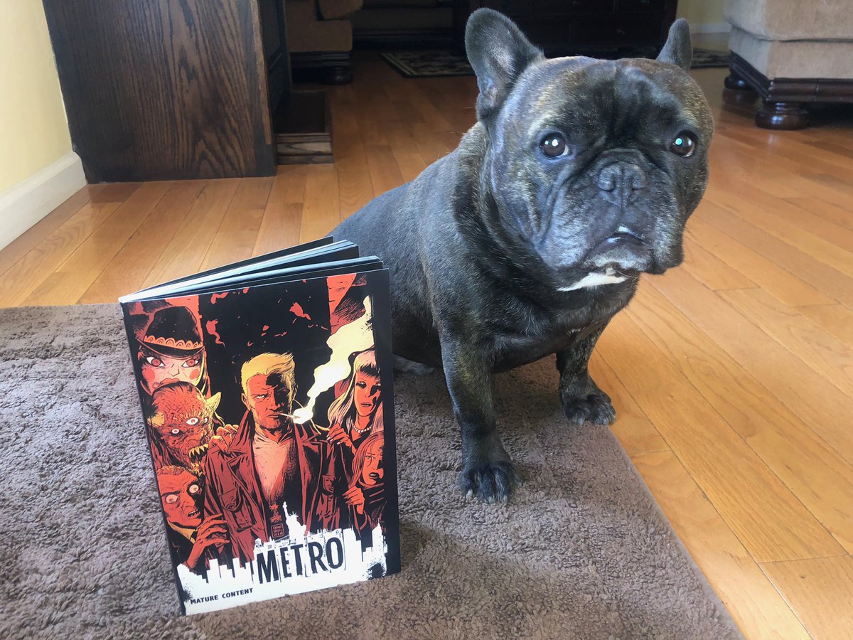 Metro_Comic's tweet image. What do we have here?  It appears our creators have gotten their hands, and paws, on copies of Metro. It’s passed our creator quality checks and will soon be shipping out to you.  We appreciate your patience and can’t wait for you to finally have them in your hands, or paws too.