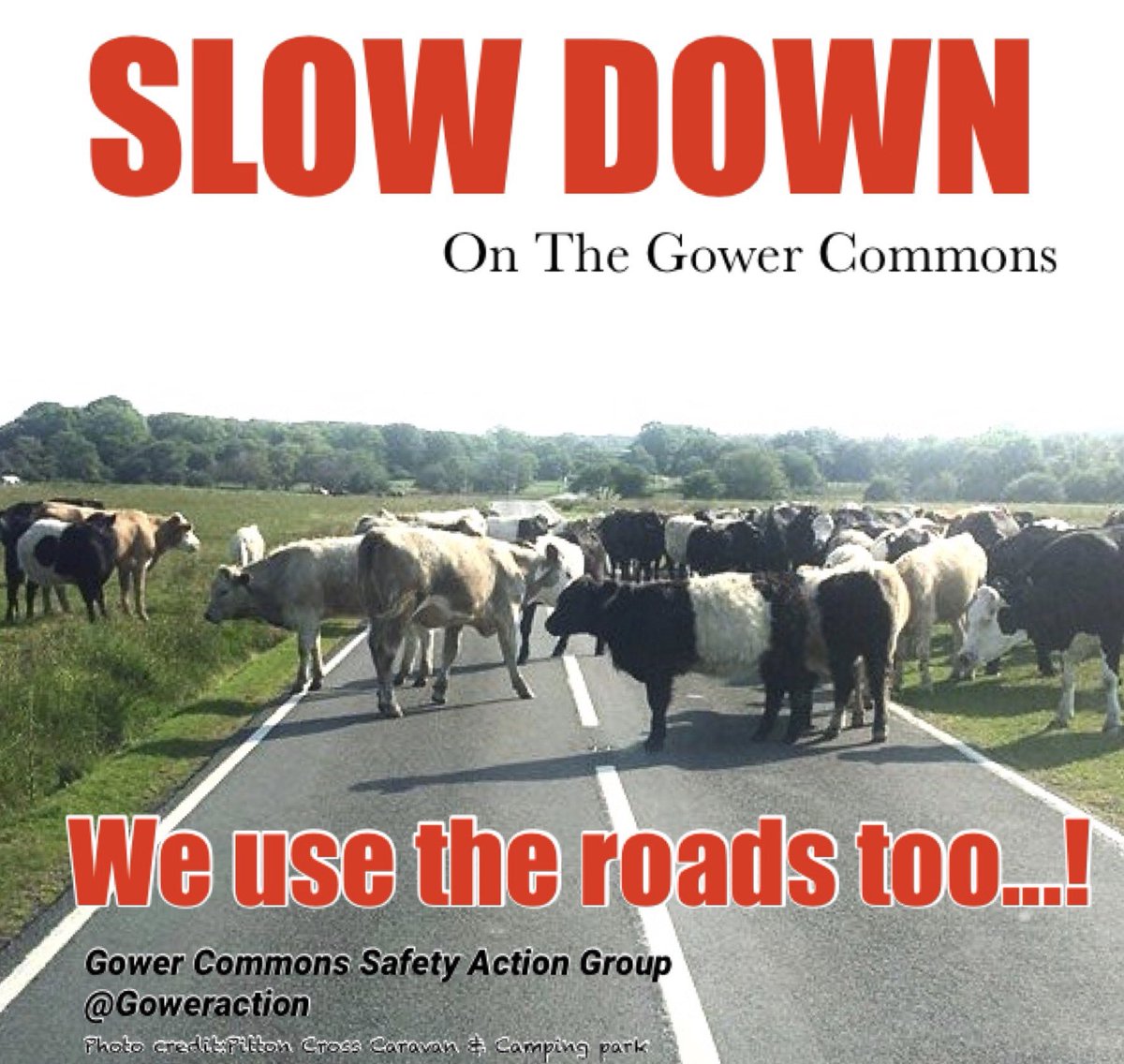 #Gower #AONB #Swansea #Commons <a href="/ToniaAntoniazzi/">Tonia Antoniazzi</a> @DaiLloydAM @bethanjenkins <a href="/wgmin_finance/">wgmin_finance</a> <a href="/SwanseaCouncil/">Swansea Council</a> #GowerNPT <a href="/TheGowerSociety/">The Gower Society</a> <a href="/GowerHeritage/">GowerHeritageCentre</a> <a href="/BeautifulGower/">Beautiful Gower</a> <a href="/MumblesGower/">Mumbles Gower</a> @GowerNT @SWPSwansea <a href="/RuralSwanseaA/">Rural Swansea Action</a> <a href="/GowerLive/">Gower Live</a> <a href="/therealgower/">Gower Peninsula</a>