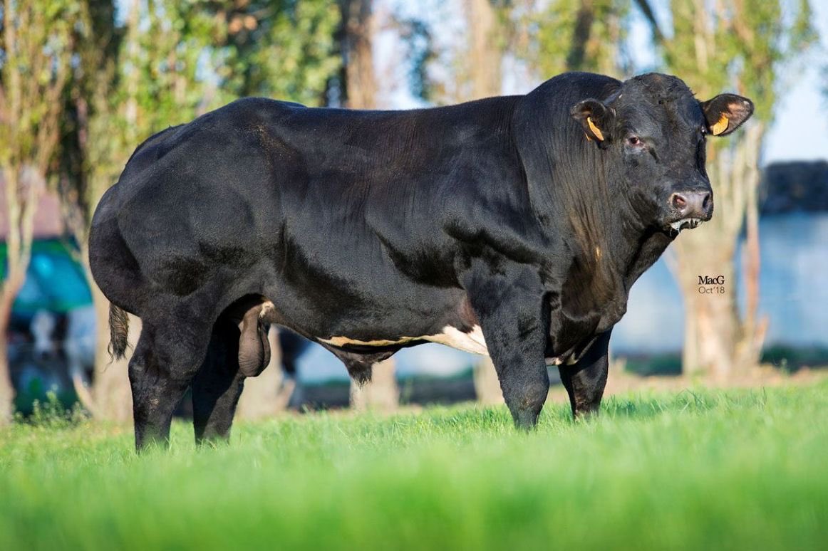 Progressive Genetics tweet media