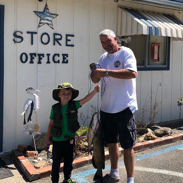 campclearlake's tweet photo. Scott and Junior Ranger Bennet caught two nice catfish, using stinky bait, right from their campsite, Site 20. Fish fry tonight! #lovelakecounty #norcal #visitlakecounty #visitcalifornia #catfish #fishing #camping #tent #visitlakecountyca #summer #cachecreek #booknow https://t.co/Yr71g8hHz8