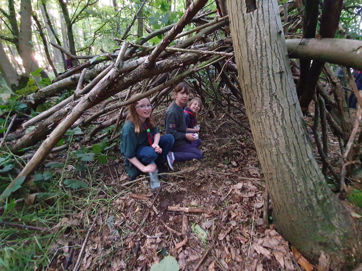 #survivalshelter #building @essexscouts #skillsforlife #Essex100challenge