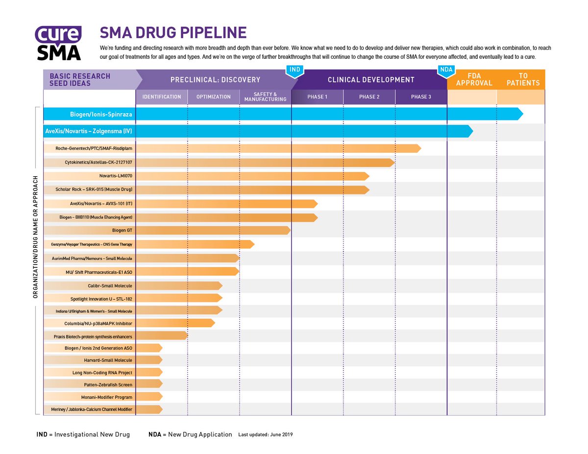 An updated version of the #SMAdrugpipeline is now available. This latest version includes 23 active programs, including two approved therapies.

To learn more about the updated SMA drug pipeline, visit our news section: 
curesma.org/news/sma-drug-…

#CureSMA