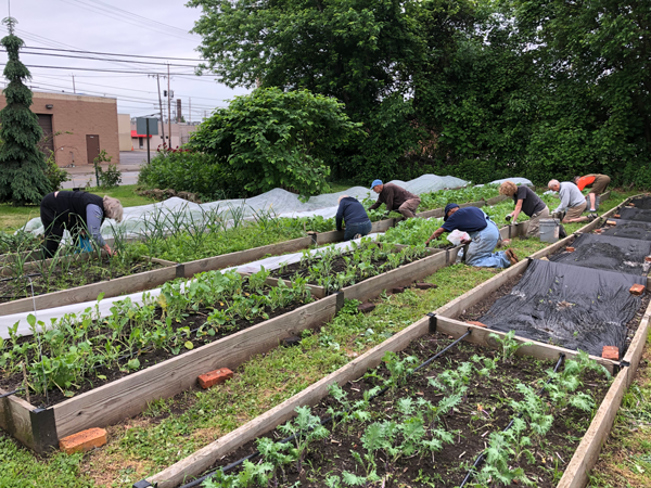 trinitycleve's tweet photo. Saturdays at the Farm! Join volunteers every Saturday throughout the summer to continue the harvest and plant more crops. Even a half hour helps! The farm is located on E. 35th & Cedar.
#TrinityCathedral #TrinityCathedralCLE #ThisIsCLE #TrinityCleve #Episcopal #CampusDistrict https://t.co/jv3qFk3ojD