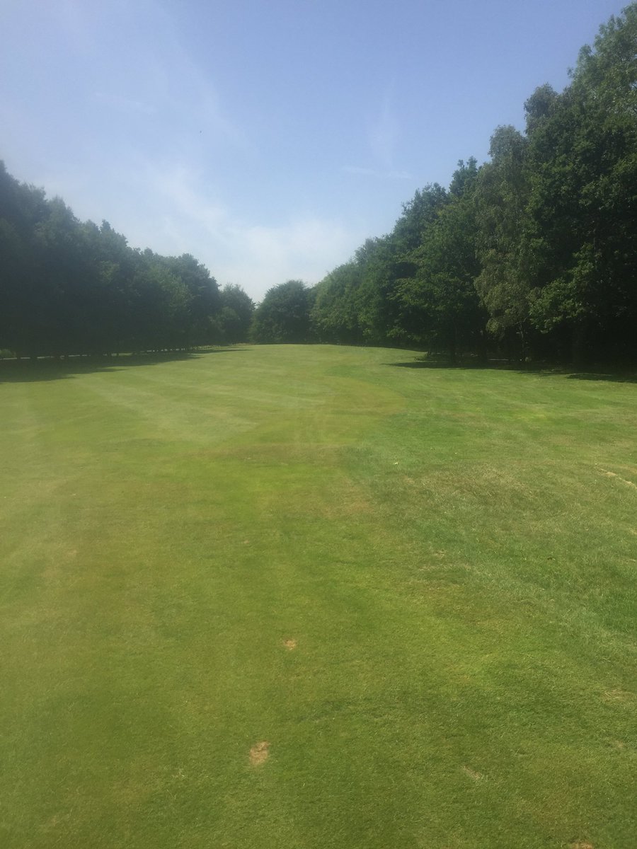 c_holty's tweet photo. Very good Holtye G.C all departments working like a finely tuned engine Good luck tomorrow for Captains day and bring some sun cream 😎 don’t worry about fluid  plenty of refreshments at the 19th hole BEER FESTIVAL TIME!!!! Enjoy 😉 https://t.co/IPmm3pkFXv