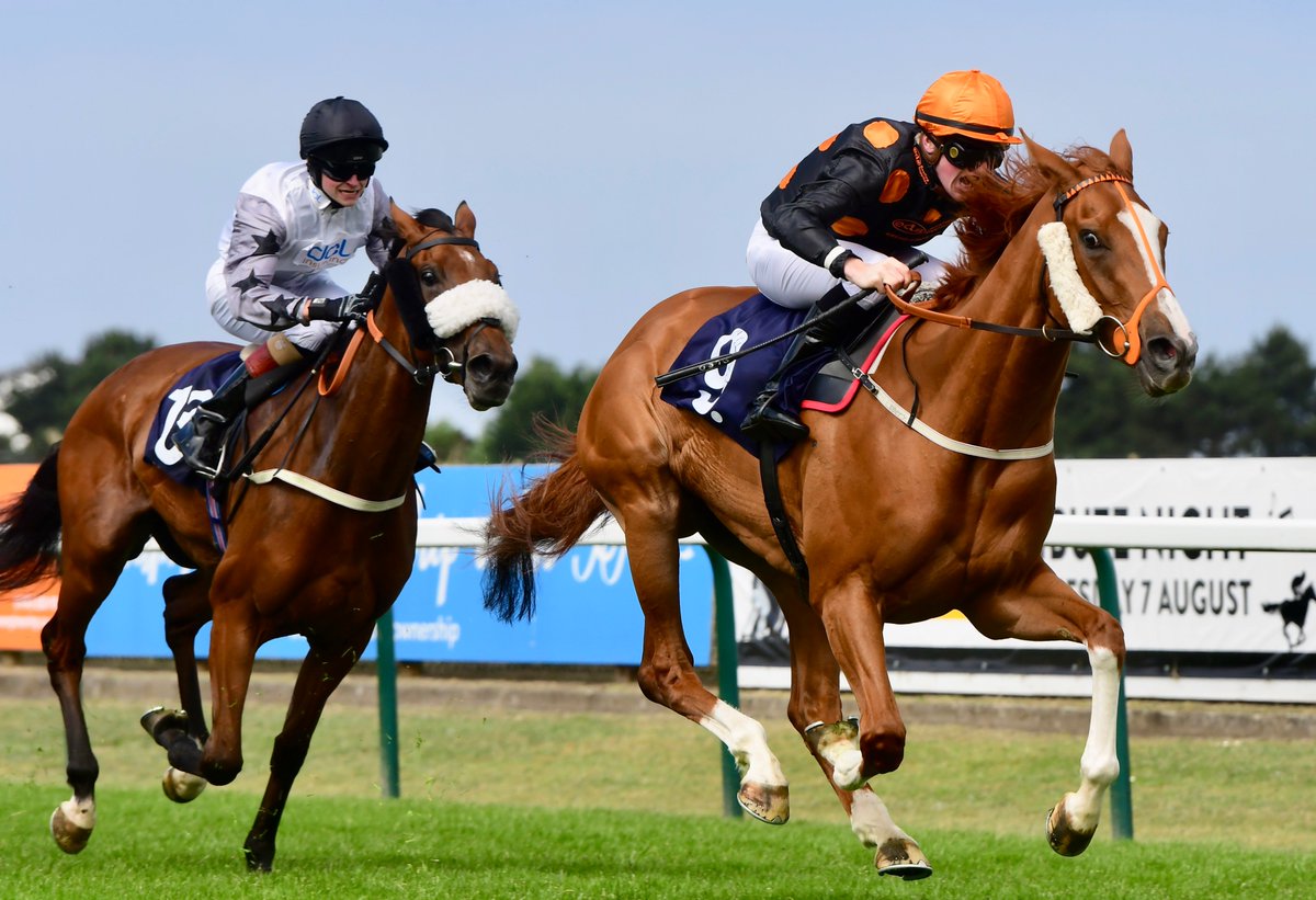 Great Yarmouth Races tweet media