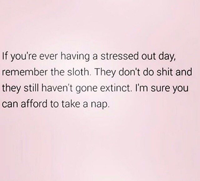 siggyrobert's tweet photo. True story. #justbreathe #moment #FridayFeels #SLOTH #selflove https://t.co/Aal9fQ444z