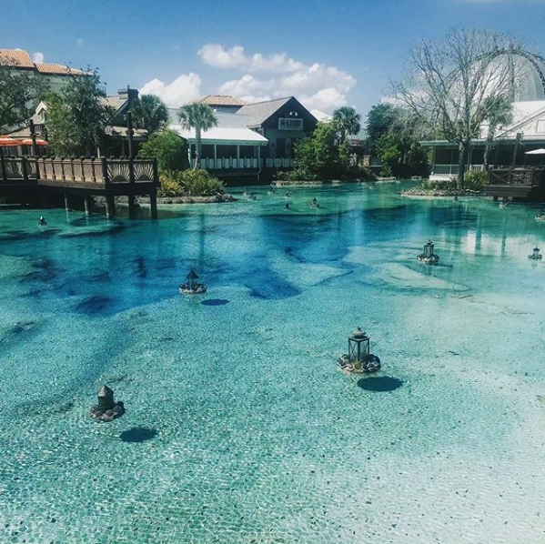 DisneyMeeting's tweet photo. Did you know meeting and convention attendees at Walt Disney World get discounts at participating Disney Springs locations? Just show your meeting or convention badge! Learn more about this program: https://t.co/GO57gzkFP4 https://t.co/GeAMQFxnbR