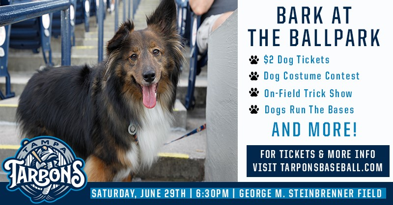 Who's ready to "Bark At The Ballpark" tomorrow? 
Come out and show your support this weekend with your fur family and enjoy a game with the Tampa Tarpons at Steinbrenner Field!!! 

Visit Tarponsbaseball.com for more details and tickets.