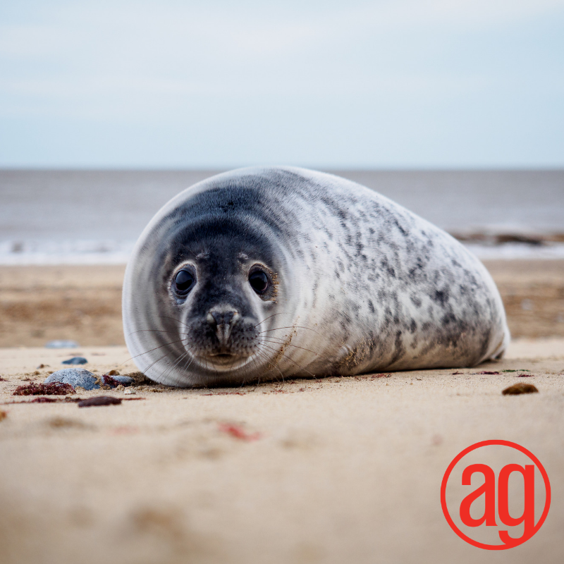 Its #TGIF the end of the week, you got alot done for the week, and now its time to recharge.

#printing #alphagraphics #printshop #alexandriava #arlingtonva #likeforlike #love #picoftheday #relax #socialmediamarketing #weekendvibes #weekend