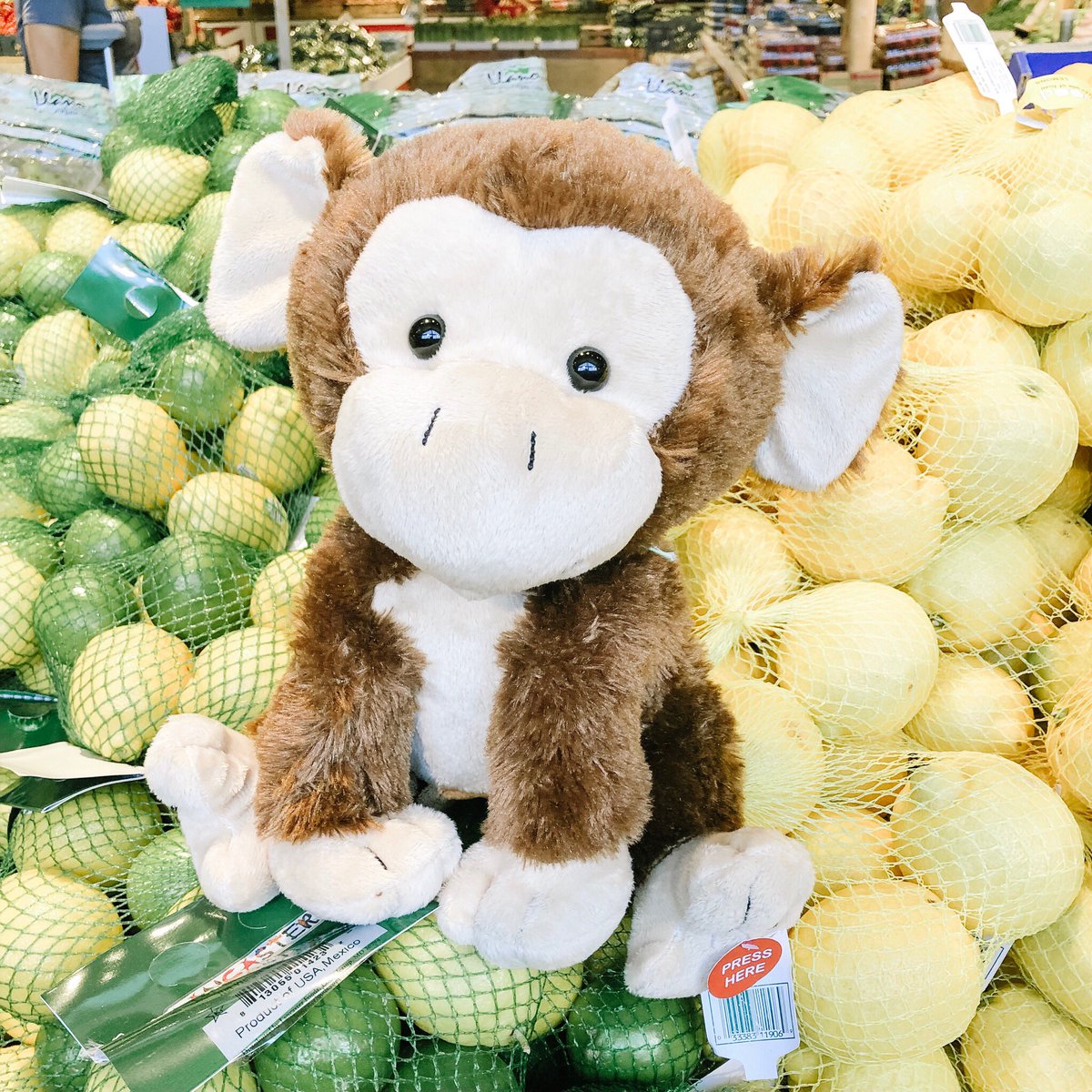 CuddleBarn's tweet photo. Hmmm…are these my bananas?
🍌
Bananas are green when they're unripe and yellow when they're good to eat…but wait!
These are round! Bananas aren't round! These must be lemons and limes, silly me! 🍋
https://t.co/0PTMFdIlnA
#CuddleBarn #MarvinTheMonkey #Toys #Plush #Monkey https://t.co/47SrTUir4T