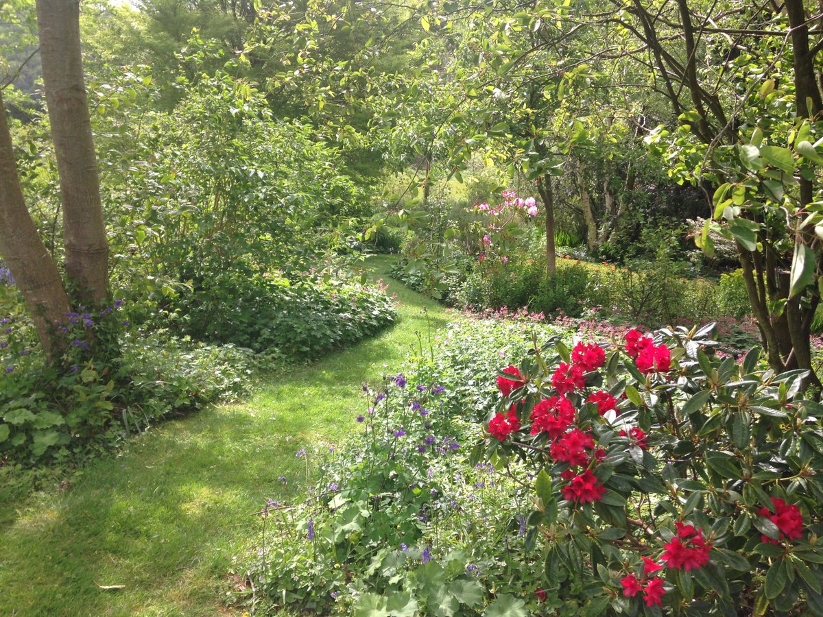 ONLY £1 ENTRY to <a href="/CaeHirGardens/">Cae Hir Gardens</a> this SUNDAY 30th JUNE as we continue our 30th anniversary celebrations! Enjoy a bargain day out in the sun! #celebrations #RHSPartnerGardens #SundayFunday #realmidwales